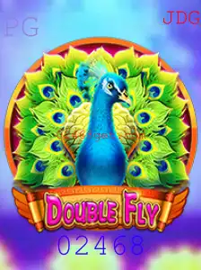 Explorando o Mundo de DoubleFly: Descrição e Regras do Jogo